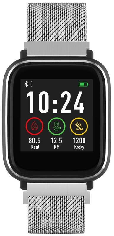 Chytré hodinky iGET FIT F3 Silver (3x řemínek) / 1,3" (3,3 cm) barevný displej / Bluetooth 4.2 / 240 x 240 px / stříbrná Varianta: ivi1