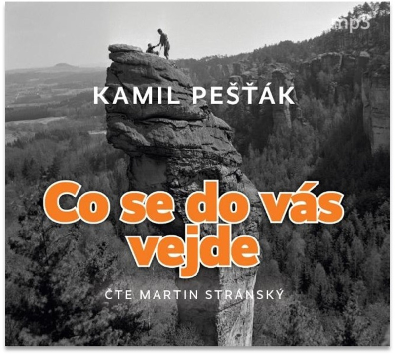 Co se do vás vejde - Kamil Pešťák