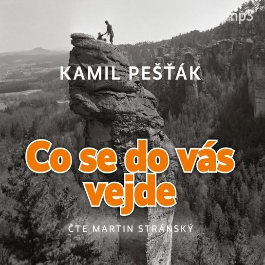 Co se do vás vejde - Kamil Pešťák