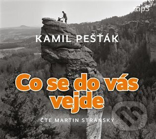 Co se do vás vejde - Kamil Pešťák