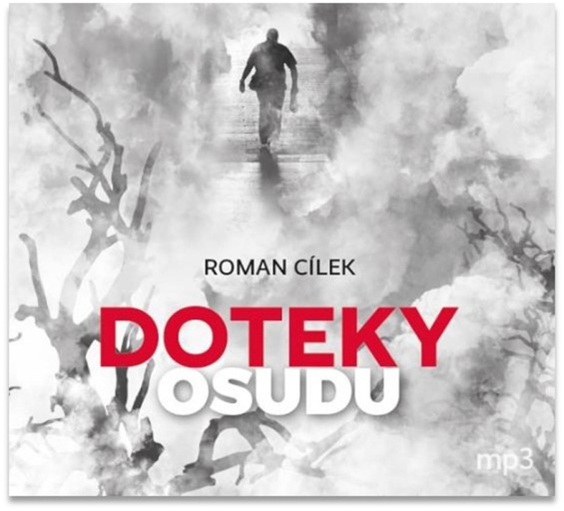Doteky osudu - Roman Cílek
