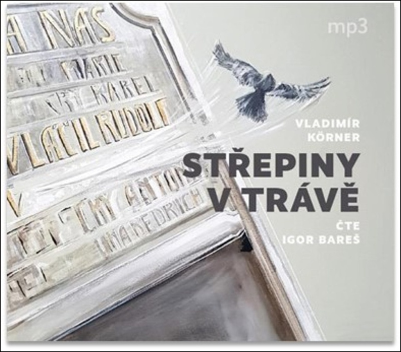 Střepiny v trávě - Vladimír Körner