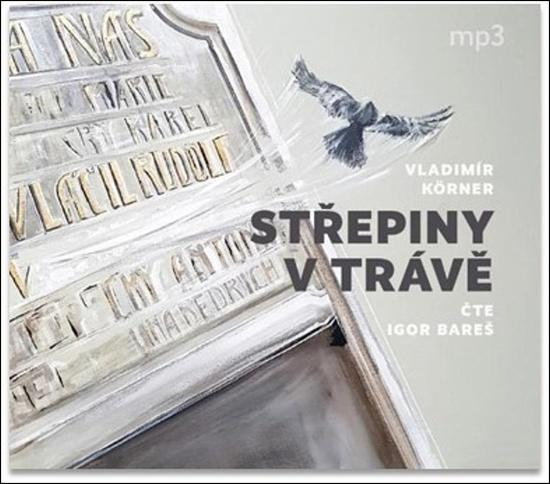 Střepiny v trávě - Vladimír Körner