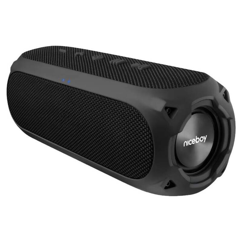 Přenosný reproduktor Niceboy RAZE 3 Radion / 8 ohm / IP67 / 65 Hz - 25 kHz / 24 W / Bluetooth 5.0 / černá Varianta: ivi1