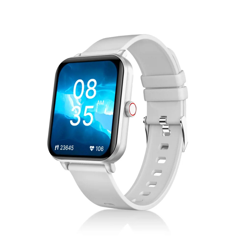 Niceboy WATCH Lite 4 Stříbrná