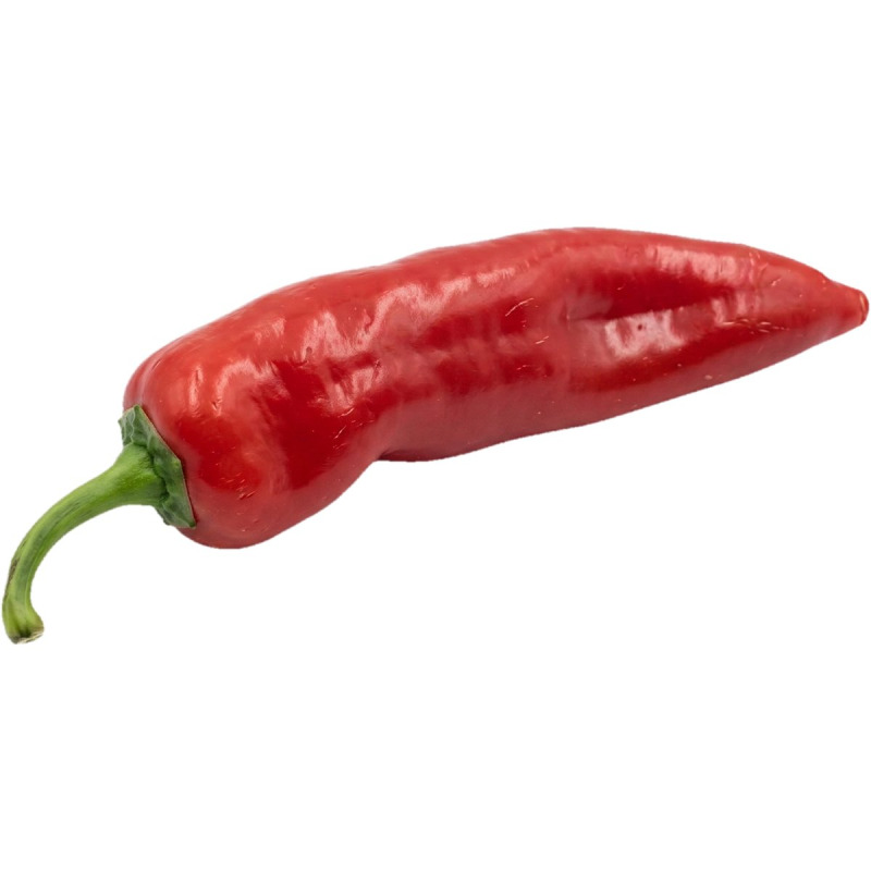 Čerstvě utrženo Paprika Palermo (zn. Pepina) nestandard