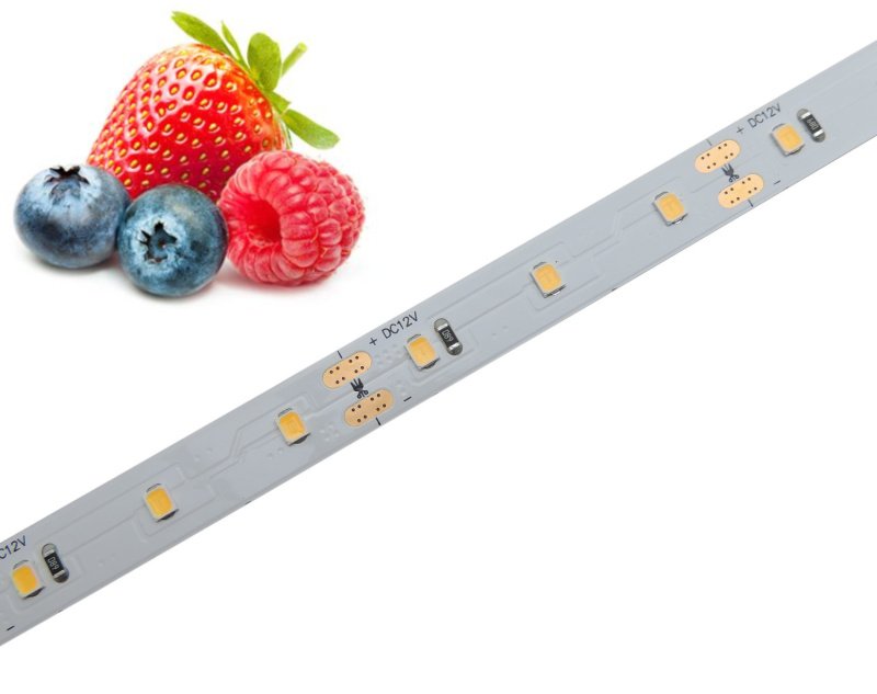 Potravinářský pásek: OVOCE, 5000-5500K, 12W/m, PROFI, 12V, IP20, 60LED/m, SMD2835, záruka 5 let