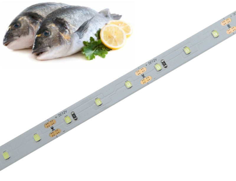 Potravinářský pásek: RYBY, 15000-25000K, 12W/m, PROFI, 12V, IP20, 60LED/m, SMD2835, záruka 5 let