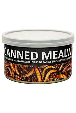 UGF moučný červ konzerva  35g