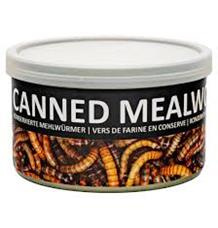 UGF sušený moučný červ konzerva 490 g