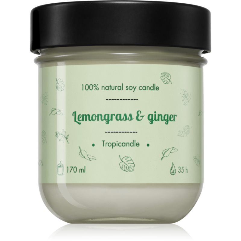 Tropikalia Tropicandle - LEMONGRASS & GINGER