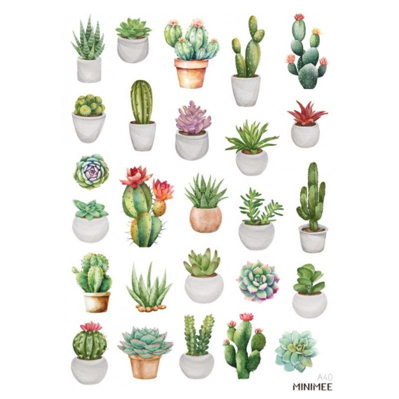 Samolepky A5 - Sukulenty