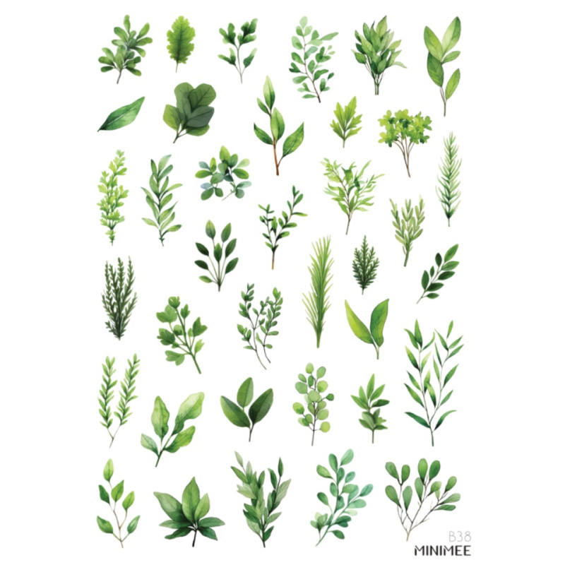 Samolepky A5 - Zelené listy