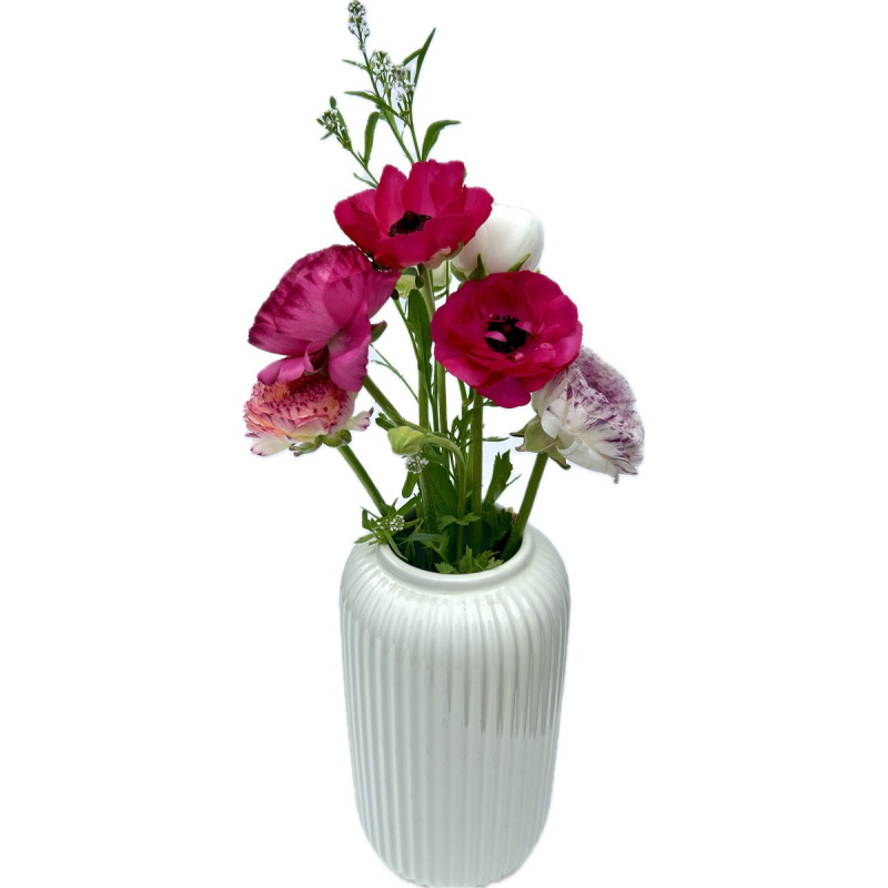 Vitenplant BIO Pryskyřníky "Romance"