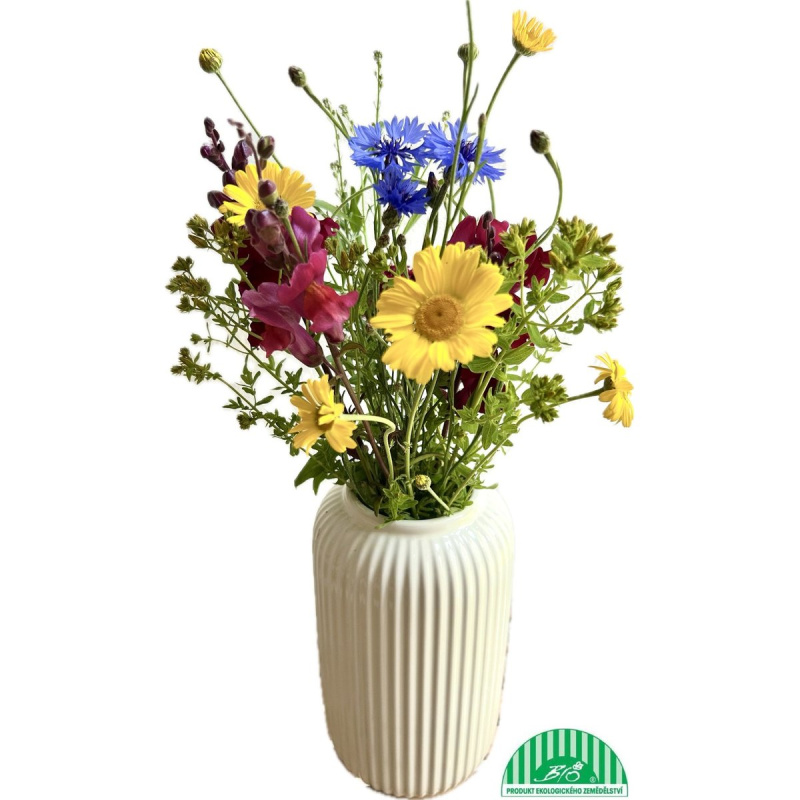 Vitenplant BIO Jarní kytice "Spring sun"