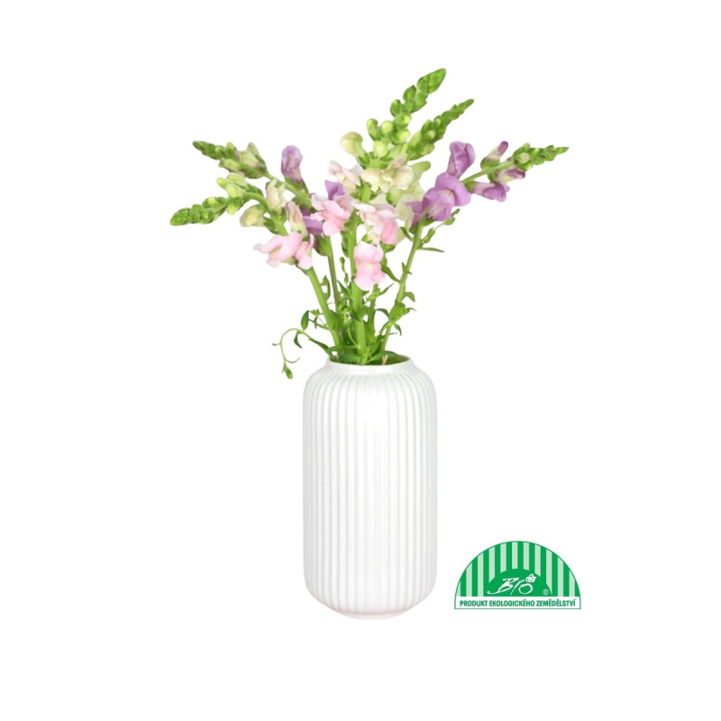 Vitenplant BIO svazek Hledíků Butterfly mix