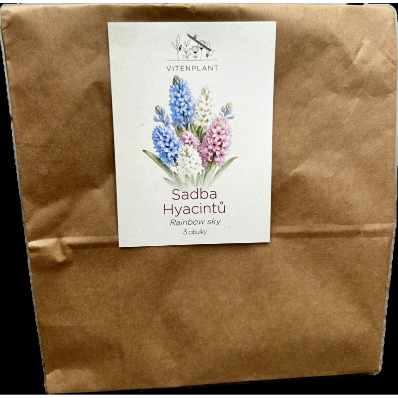Vitenplant Sadba Hyacintů "Rainbow sky"