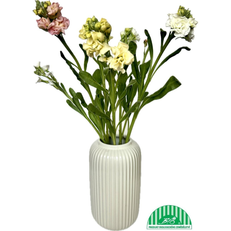 Vitenplant BIO Fiala letní "Pastel Mix"