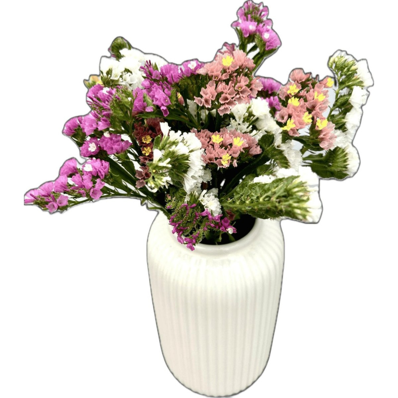 Vitenplant BIO Kytice Statice "Pastel Mix"