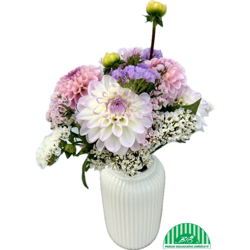 Vitenplant BIO Kytice Jiřin "Flower Party"