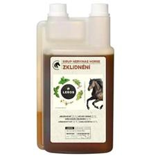 Leros Nervinae Sirup 1 l