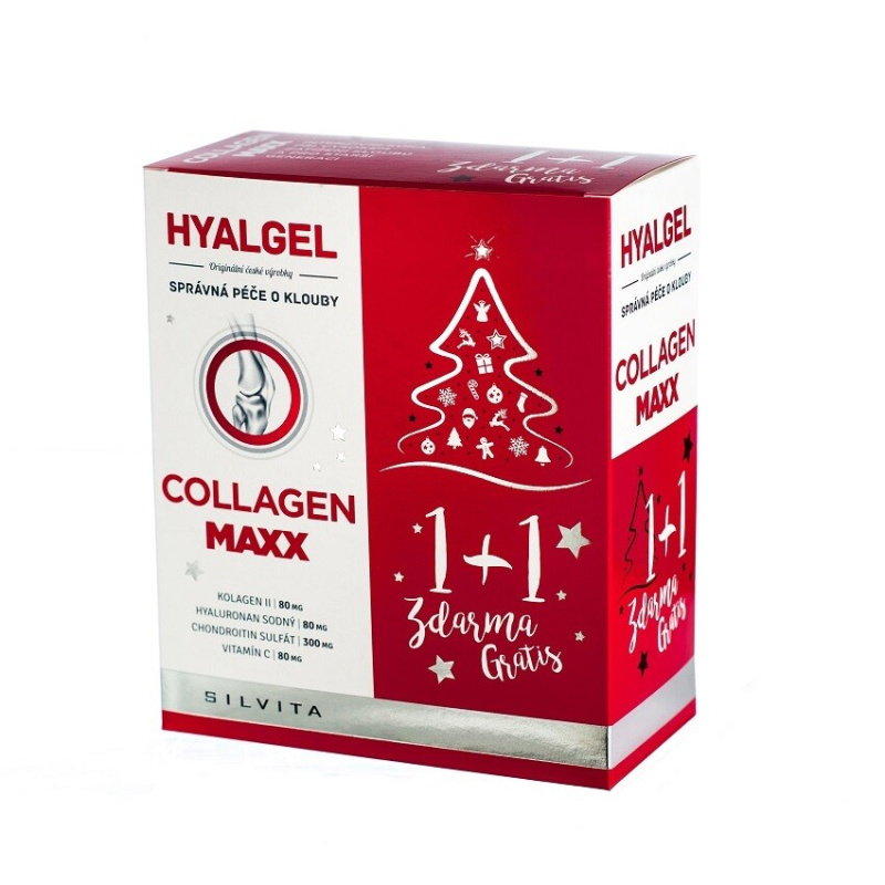 Hyalgel Collagen MAXX vánoční balení 2022 2x500ml