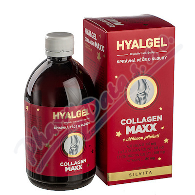 Hyalgel Collagen MAXX višeň vánoční balení 500 ml