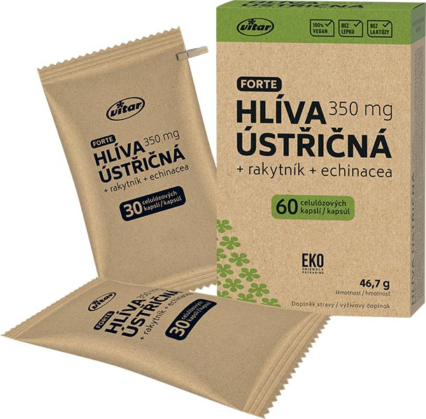 Vitar Hlíva ústřičná+echinacea+rakytník EKO cps.60