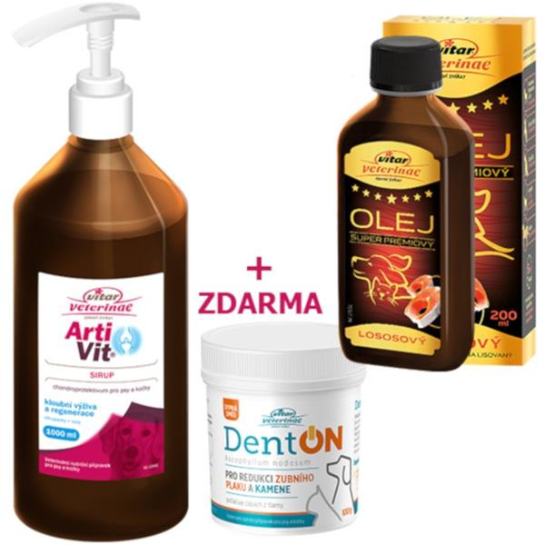 VITAR ArtiVit Sirup 1000ml+DentON100+losos olej 200ml