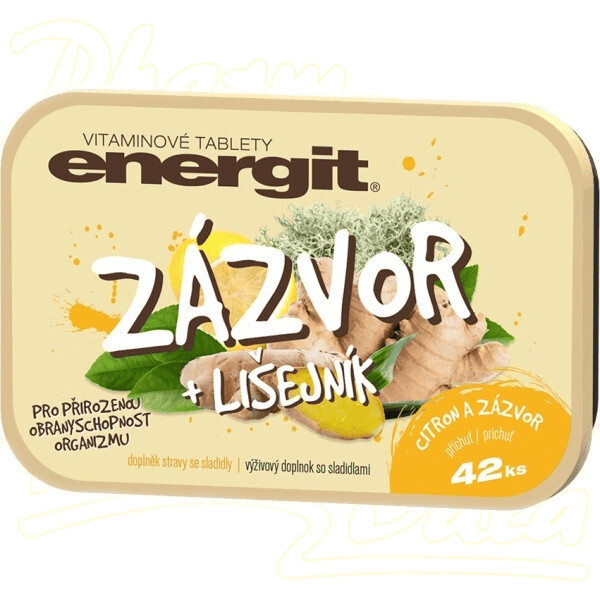 ENERGIT Zázvor + lišejník 42 tablet