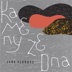 Kameny ze dna - Jana Vébrová