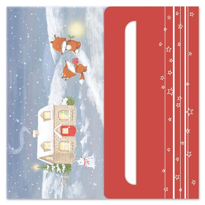 Ditipo Vánoční blahopřání P na peníze, různé druhy, 10 x 20 cm