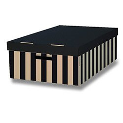 HIT Office Archivační krabice BIG BOX s víkem -37,0 x 18,0 x 56,0 cm, 2 ks
