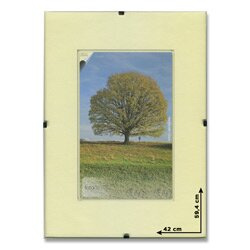 Obrazový rám BFHM s euroclipy A2, 42 x 59,4 cm