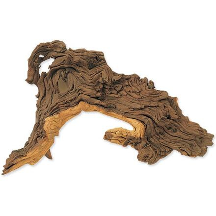 Dekorace HOBBY DOHSE Tropical wood S, 24 cm