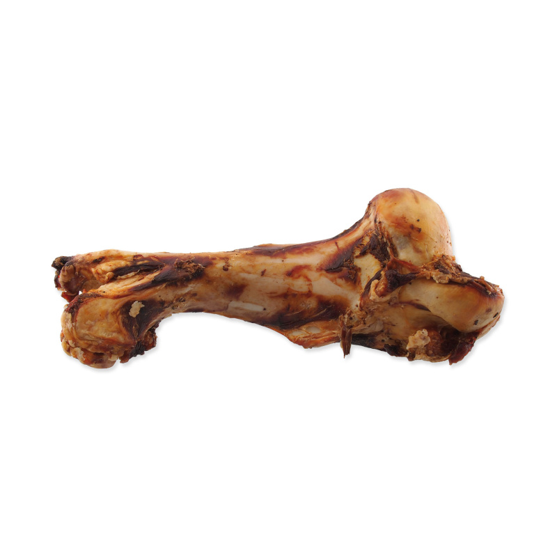 Kost RASCO Dog zauzená velikost M 1 ks