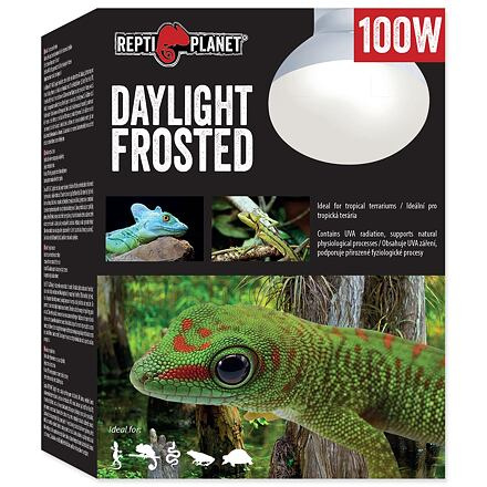 Žárovka REPTI PLANET Daylight Frosted 100 W