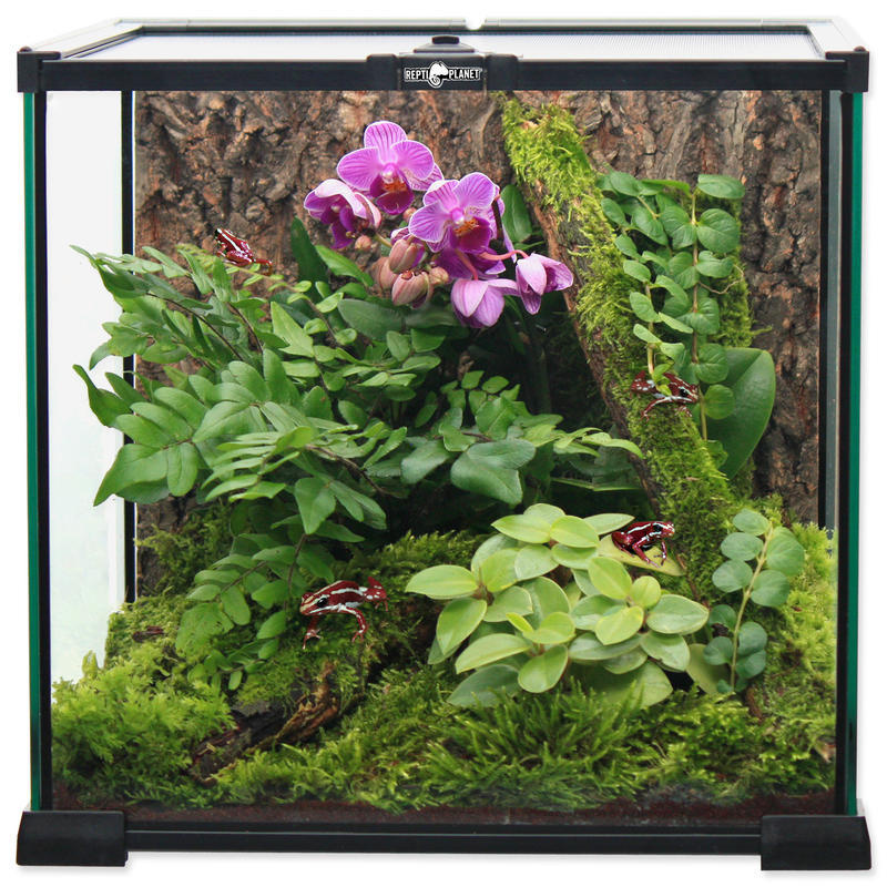 Terárium REPTI PLANET skleněné 20 x 20 x 20 cm !!! POUZE OSOBNÍ ODBĚR !!! 1ks