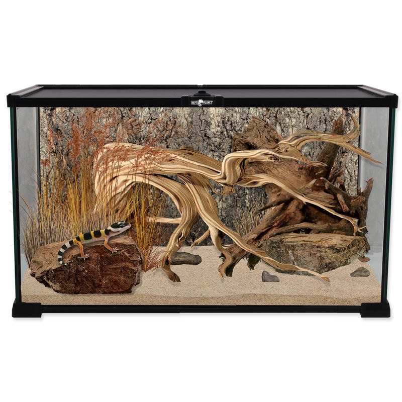 Terárium REPTI PLANET skleněné 50,5 x 30,5 x 25 cm !!! POUZE OSOBNÍ ODBĚR !!! 1ks