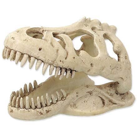 Repti Planet Dekorace T-REX lebka 13,3x8,5x9cm 1 ks
