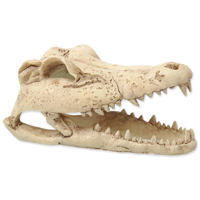 Dekorace REPTI PLANET Krokodýlí lebka 13,8 cm 1ks