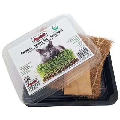 APETIT Apetit Kočičí tráva k vypěstování - miska, kokosová rohož, semínka 30g
