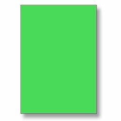 Rayfilm - samolepicí etikety - 210×297 mm, 100 etiket, zelené