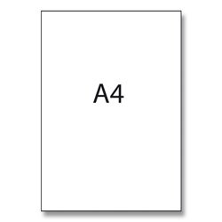 Rayfilm Glossy - samolepicí etikety - 210,0 x 297,0 mm, 20 etiket