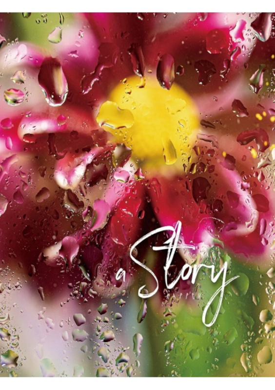 Fotoalbum CONCORDE DXP 4696, 96 foto, 10x15 CONCORDE