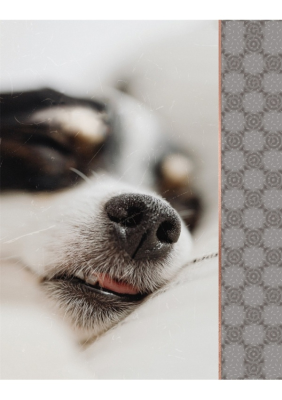 Fotoalbum CONCORDE DP2 4664, 64 foto, 10x15 CONCORDE