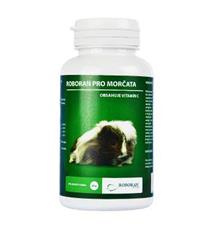 Roboran pro morčata plv  60g