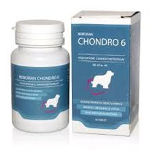 Roboran Chondro 6 Pro Psy 180 tbl