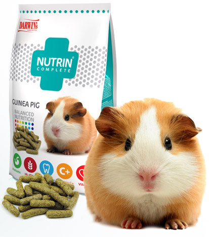 NUTRIN Complete Morče 400 g