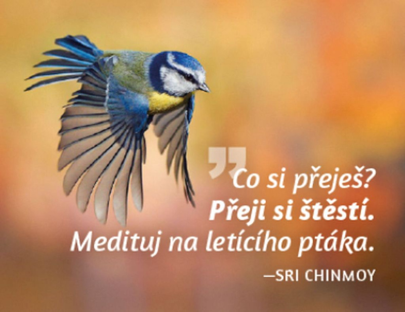 Magnet na lednici Medituj na Štěstí